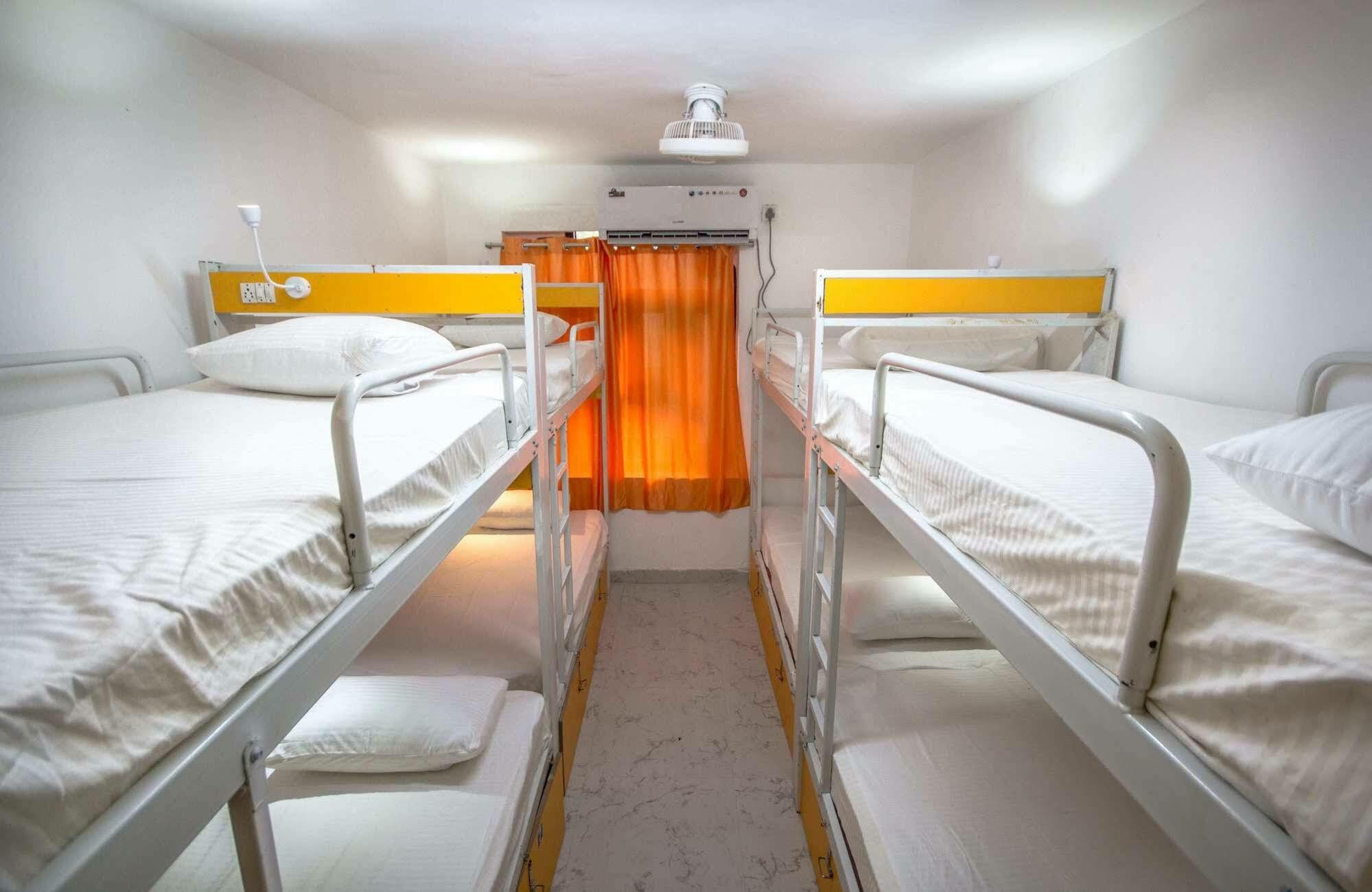 Bunk Hostel Delhi New Delhi Exterior photo