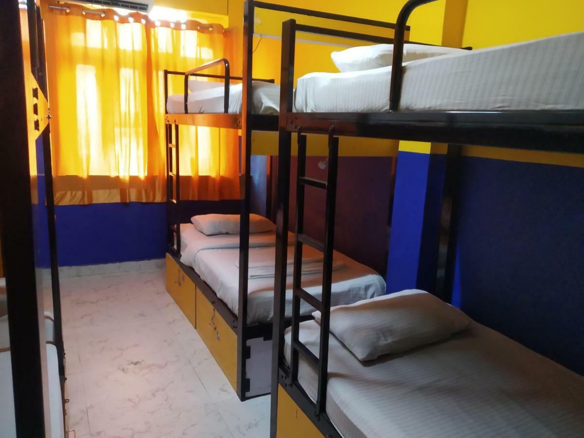 Bunk Hostel Delhi New Delhi Exterior photo